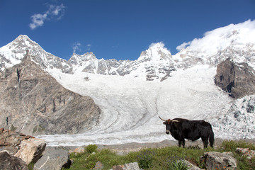 Landscapes of Karakoram range in Pakistan.