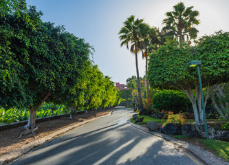 On the way to Abama Beach.Tenerife. Canary Islands..Spain