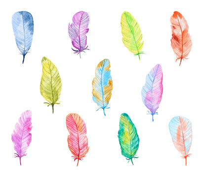 Set of Colorful Watercolor Feathers. Hand Drawn and Painted. Isolated on White Background. Part 2