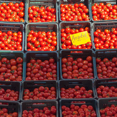 Tomaten im Angebot