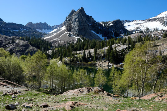 Sundial Peak With Trees