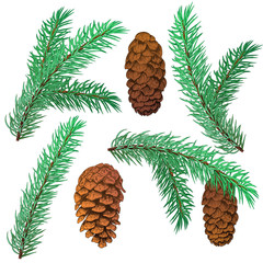 Fototapeta premium Set christmas tree and cone. Black line ink on a white background. Vector illustrations