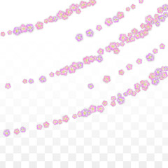 Blue Vector Realistic Blue Petals Falling on Transparent Background.  Spring Romantic Flowers Illustration. Flying Petals. Sakura Spa Design. Blossom Confetti. Design Elements for Wedding Decoration.