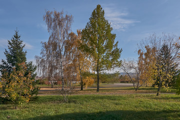 autumn square