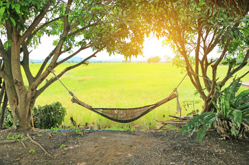Bamboo wooden cradle under trees in garden with sunlight.