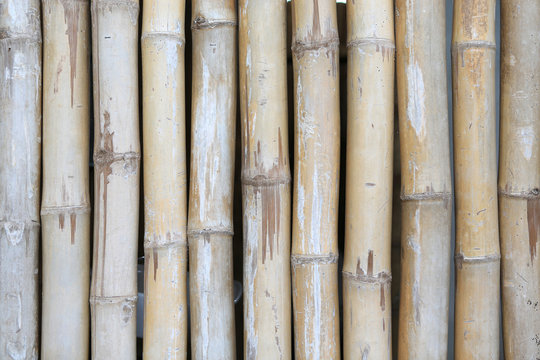 Vertical bamboo fence background.