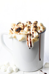 Closeup of a mug of hot cocoa with toasted marshmallows