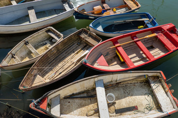 Rowing Boats © mark galer