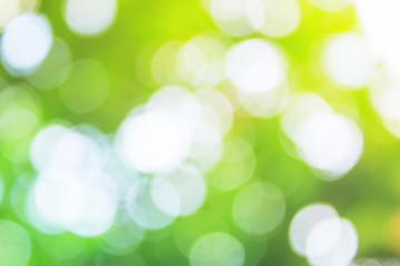 Obraz premium Abstract bokeh background from Green leaf