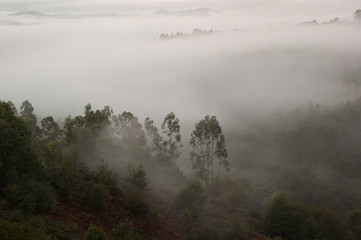 Amanecer en la niebla