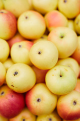 Yellow apple background: heap of fresh tasty apples in food organic shop
