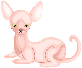 a vector of a sphynx cat