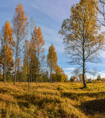 Frost melts on the grass from the sun.