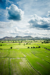 Fototapeta na wymiar Landscape farm on cloud and sky background at Thailand