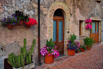 Fototapeta na wymiar Old house in Tuscany with flowers
