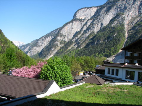 Spring in Alps