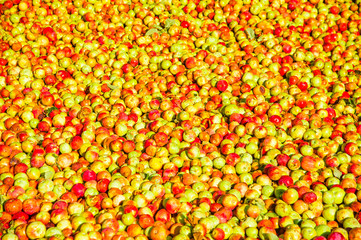 Ripe apples being processed and transported in an industrial production facility