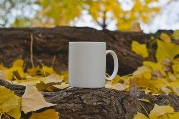 A blank white coffee mug on the tree roots in the changing fall season. 