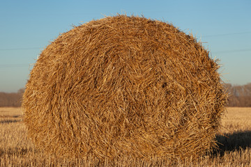 Haystack harvest spring field landscape. Haystack agriculture field landscape. Agriculture field haystacks