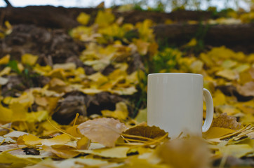 A blank white coffee mug on the park floor covered in the fallen yellow leaves from the trees above. 