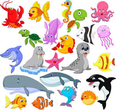 Cartoon sea life collection set