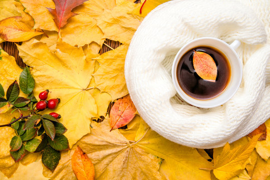 Autumn still life with cup of black coffee 