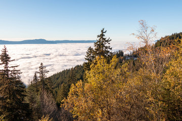 mer de nuages