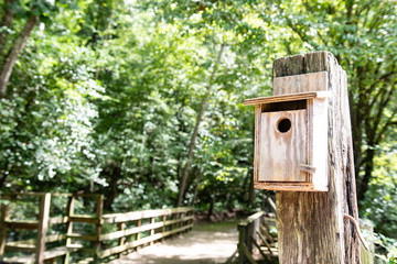 Wooden birdhouse
