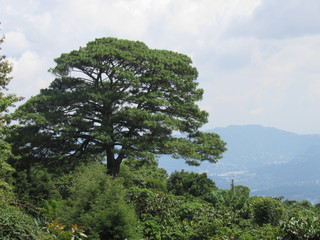 PARQUE EL BOQUERON, VOLCAN SAN SALVADOR, EL SALVADOR