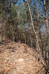 Cultures in South Korea