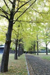 茨城県立歴史館