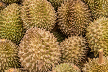 Naklejka na ściany i meble fruit of durian