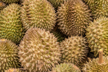 fruit of durian