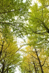 Obraz premium 茨城県立歴史館