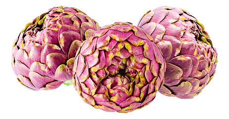 Fototapeta premium Artichokes isolated on white background for package design