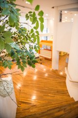 Cultures in South Korea