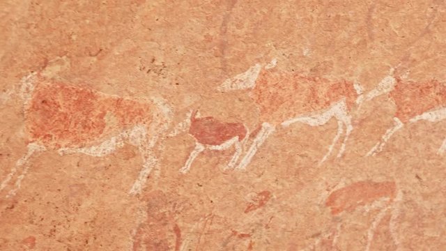 Oryx antelope Bushman cave painting on Brandberg Mountain, Namibia, Close up pan