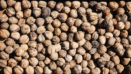 Walnuts for background or wallpaper.