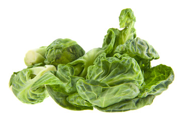 brussels sprouts isolated on white background