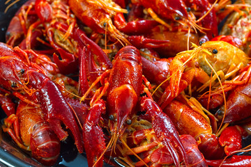 crayfish on white background