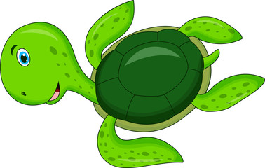 cute cartoon turtle