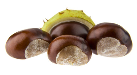 chestnuts isolated on white background