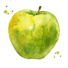 Green apple with branch in watercolor style