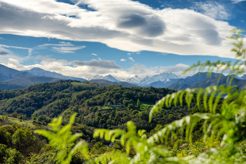 Fototapeta na wymiar mountain landscape in the French Pyrenees with ferns in the foreground