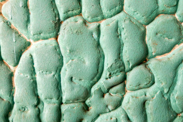 Fototapeta na wymiar Abstract uncommon inhomogeneous green texture