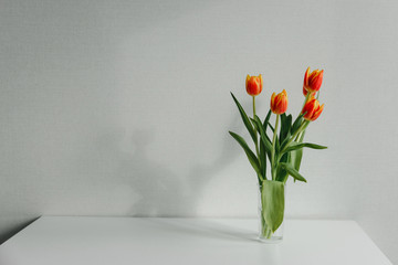 Colorful tulips in a glass vase for mothers day or wedding on a white wooden table in vintage style