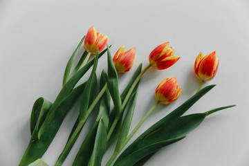 bouquet of tulips in front of spring scene