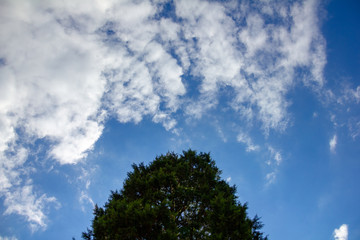 Autumn sky and clouds
