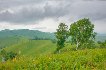 Fototapeta na wymiar The hills and roads in the Altai