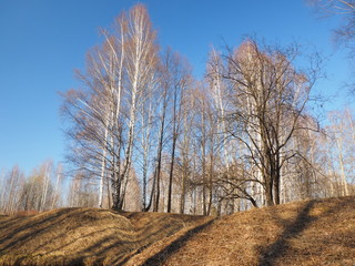 Spring Park. Russian spring nature. Russia, Ural, Perm Region